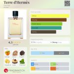 عطر ادکلن تر د هرمس اِرمِس - Terre d'Hermès Hermès - بررسی، قیمت و خرید