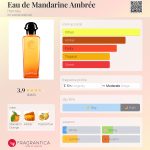 عطر ادکلن اُو دو ماندارین آمبره اِرمِس - Eau de Mandarine Ambrée Hermès - بررسی، قیمت و خرید