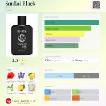 عطر ادکلن سنکای بلک بیس - Sankai Black Bi-es - بررسی، قیمت و خرید