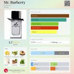 عطر ادکلن مستر بربری بربری - Mr. Burberry Burberry - بررسی، قیمت و خرید