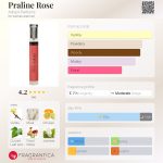 عطر ادکلن پرالین رز اَداپت پرفیومز - Praline Rose Adopt Parfums - بررسی، قیمت و خرید