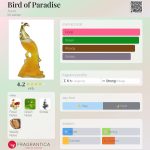 عطر ادکلن برد آو پردایس ایون - Bird of Paradise Avon - بررسی، قیمت و خرید