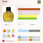 عطر ادکلن ماسک دانا - Musk Dana - بررسی، قیمت و خرید