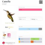عطر ادکلن کامیلیا برانلی - Camelia Bronnley - بررسی، قیمت و خرید