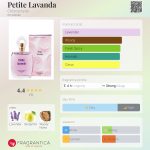 عطر ادکلن پتیت لاوندا کلروفیلا - Petite Lavanda Chlorophylla - بررسی، قیمت و خرید