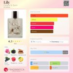 عطر ادکلن لیلی کالیپسو سن بارت - Lily Calypso St. Barth - بررسی، قیمت و خرید