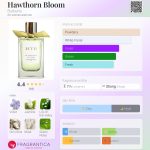 عطر ادکلن هاوتورن بلوم باربری - Hawthorn Bloom Burberry - بررسی، قیمت و خرید