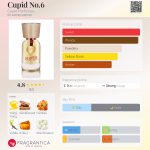 عطر ادکلن کیوپید نامبر سیکس کیوپید پرفیومز - Cupid No.6 Cupid Perfumes - بررسی، قیمت و خرید