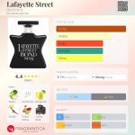 عطر ادکلن لافایت استریت باند نامبر ناین - Lafayette Street Bond No 9 - بررسی، قیمت و خرید