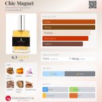عطر ادکلن شیک مگنت الکساندریا فراگرنسز - Chic Magnet Alexandria Fragrances - بررسی، قیمت و خرید