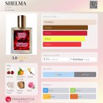 عطر ادکلن شِلما ایوی - SHELMA EVOY - بررسی، قیمت و خرید
