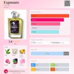 عطر ادکلن اکسپوژر ایستوری - Exposure EaSTory - بررسی، قیمت و خرید