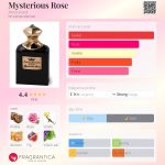 عطر ادکلن میستریوس رز آمورود - Mysterious Rose Amouroud - بررسی، قیمت و خرید