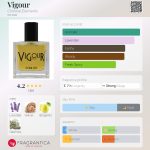 عطر ادکلن ویگر کریمینال المنتس - Vigour Criminal Elements - بررسی، قیمت و خرید