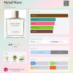 عطر ادکلن متال ویو آلسینتس - Metal Wave Allsaints - بررسی، قیمت و خرید