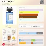 عطر ادکلن سل دارژان بی دی کی پارفومز - Sel d'Argent BDK Parfums - بررسی، قیمت و خرید