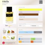 عطر ادکلن اودلیا آباکو پاریس - Odelia Abaco Paris - بررسی، قیمت و خرید