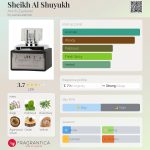 عطر ادکلن شیخ الشیوخ ارد الزعفران - Sheikh Al Shuyukh Ard Al Zaafaran - بررسی، قیمت و خرید