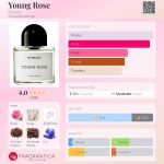 عطر ادکلن یانگ رز بایردو - Young Rose Byredo - بررسی، قیمت و خرید
