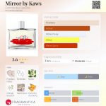 عطر ادکلن میرر بای کاوز کوم د گارسون - Mirror by Kaws Comme des Garcons - بررسی، قیمت و خرید