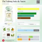 عطر ادکلن ته یولونگ سوی دو نکر جورجیو آرمانی - Thé Yulong Soie de Nacre Giorgio Armani - بررسی، قیمت و خرید