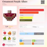 عطر ادکلن اُرنمنت پِرپِل اَلور افنان - Ornament Purple Allure Afnan - بررسی، قیمت و خرید
