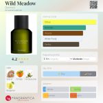 عطر ادکلن وایلد مدو بمفورد - Wild Meadow Bamford - بررسی، قیمت و خرید
