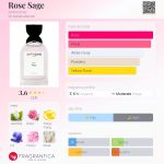 عطر ادکلن رز سیج آنتینومی - Rose Sage Antinomie - بررسی، قیمت و خرید