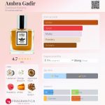 عطر ادکلن آمبره گادیر دارک‌بیت پرفیومز - Ambra Gadir Darkbeat Parfums - بررسی، قیمت و خرید