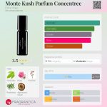 عطر ادکلن مونته کوش پرفیوم کنسانتره اکسترا ورجو - Monte Kush Parfum Concentree Extra Virgo - بررسی، قیمت و خرید