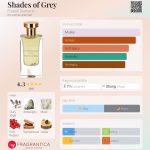 عطر ادکلن شیدز آو گری فراتلی دیامانتی - Shades of Grey Fratelli Diamanti - بررسی، قیمت و خرید