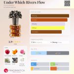 عطر ادکلن آندر ویچ ریورز فلو فورت اند مانلی - Under Which Rivers Flow Fort & Manle - بررسی، قیمت و خرید