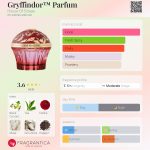 عطر ادکلن گریفیندور پرفیوم هاوس آو سیلاج - Gryffindor™ Parfum House Of Sillage - بررسی، قیمت و خرید