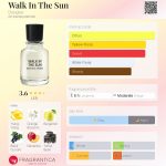 عطر ادکلن واک این د سان داگلاس - Walk In The Sun Douglas - بررسی، قیمت و خرید