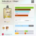 عطر ادکلن ملکول وان پلاس جینجر اسنتریک مولکولز - Molecule 01 + Ginger Escentric Molecules - بررسی، قیمت و خرید
