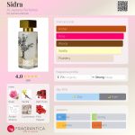 عطر ادکلن سیدرا الجزیره پرفیومز - Sidra Al-Jazeera Perfumes - بررسی، قیمت و خرید