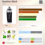 عطر ادکلن رودستر بلک کارتیر - Roadster Black Cartier - بررسی، قیمت و خرید