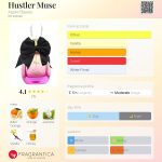 عطر ادکلن هاسلر میوز اپل بیوتی - Hustler Muse Apple Beauty - بررسی، قیمت و خرید