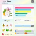 عطر ادکلن لوتوس بلانک آکورل - Lotus Blanc Acorelle - بررسی، قیمت و خرید
