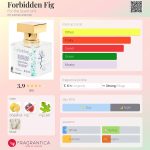 عطر ادکلن فوربیدن فیگ فور د سنت آو ایت - Forbidden Fig For the Scent of It - بررسی، قیمت و خرید