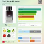 عطر ادکلن نویر پور هوم کمیل روشل - Noir Pour Homme Camille Rochelle - بررسی، قیمت و خرید