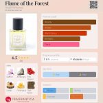عطر ادکلن فلیم آو د فورست انجلی پرفیومز - Flame of the Forest Anjali Perfumes - بررسی، قیمت و خرید