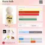عطر ادکلن وام بلب کلوی پرفیومری - Warm Bulb Clue Perfumery - بررسی، قیمت و خرید