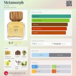 عطر ادکلن متامورف آیوند - Metamorph Ayond - بررسی، قیمت و خرید