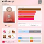 عطر ادکلن گایدنس فورتی سیکس آمواج - Guidance 46 Amouage - بررسی، قیمت و خرید