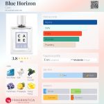 عطر ادکلن بلو هورایزن کر - Blue Horizon Care - بررسی، قیمت و خرید