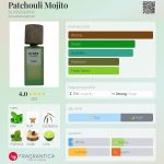 عطر ادکلن پچولی موهیتو بلندرگرافی - Patchouli Mojito BLNDRGRPHY - بررسی، قیمت و خرید