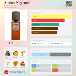عطر ادکلن امبر نگرونی بلندرگرافی - Amber Negroni BLNDRGRPHY - بررسی، قیمت و خرید