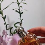 عطر ادکلن امپوریو آرمانی این لاو ویث یو جیورجیو آرمانی - Emporio Armani In Love With You Giorgio Armani - بررسی، قیمت و خرید