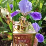 عطر ادکلن پَردیس پَردیس اتلیه فلو - Paradis Paradis Atelier Flou - بررسی، قیمت و خرید